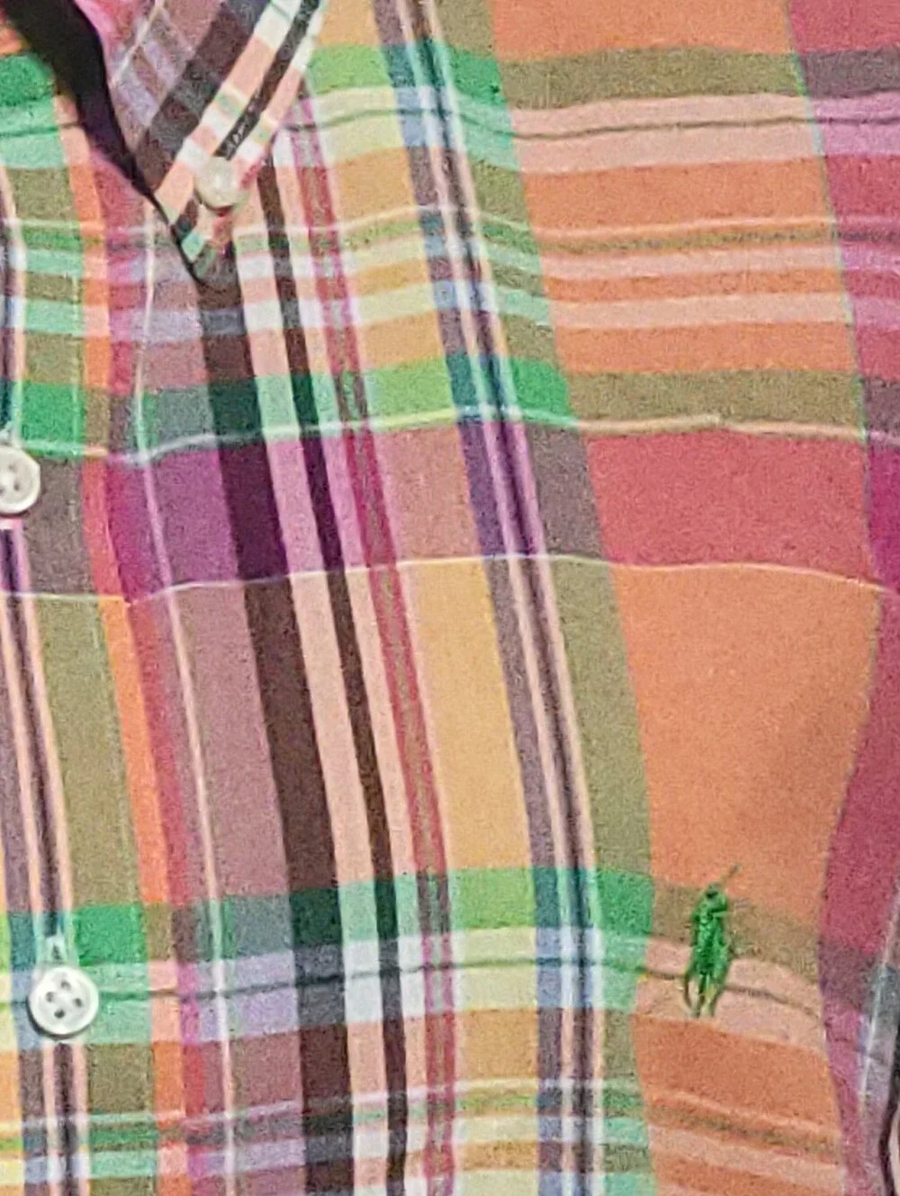 Polo Ralph Lauren XL/TG Mens check shirt cotton orange green purple, Lime Pony